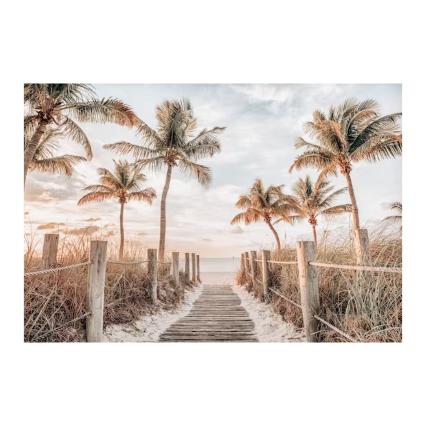Beach Path With Palm Trees Photographic Art Print