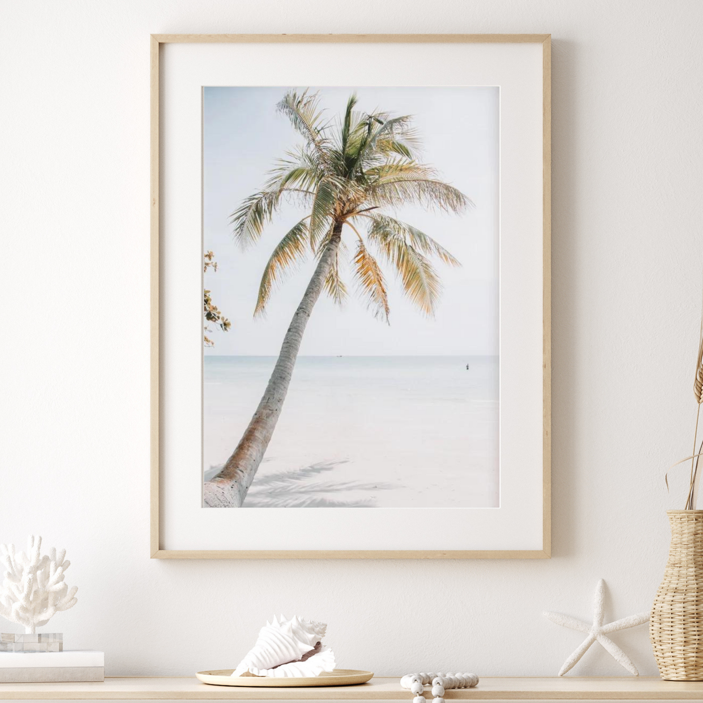 Palm Tree on White Sand Photographic Print