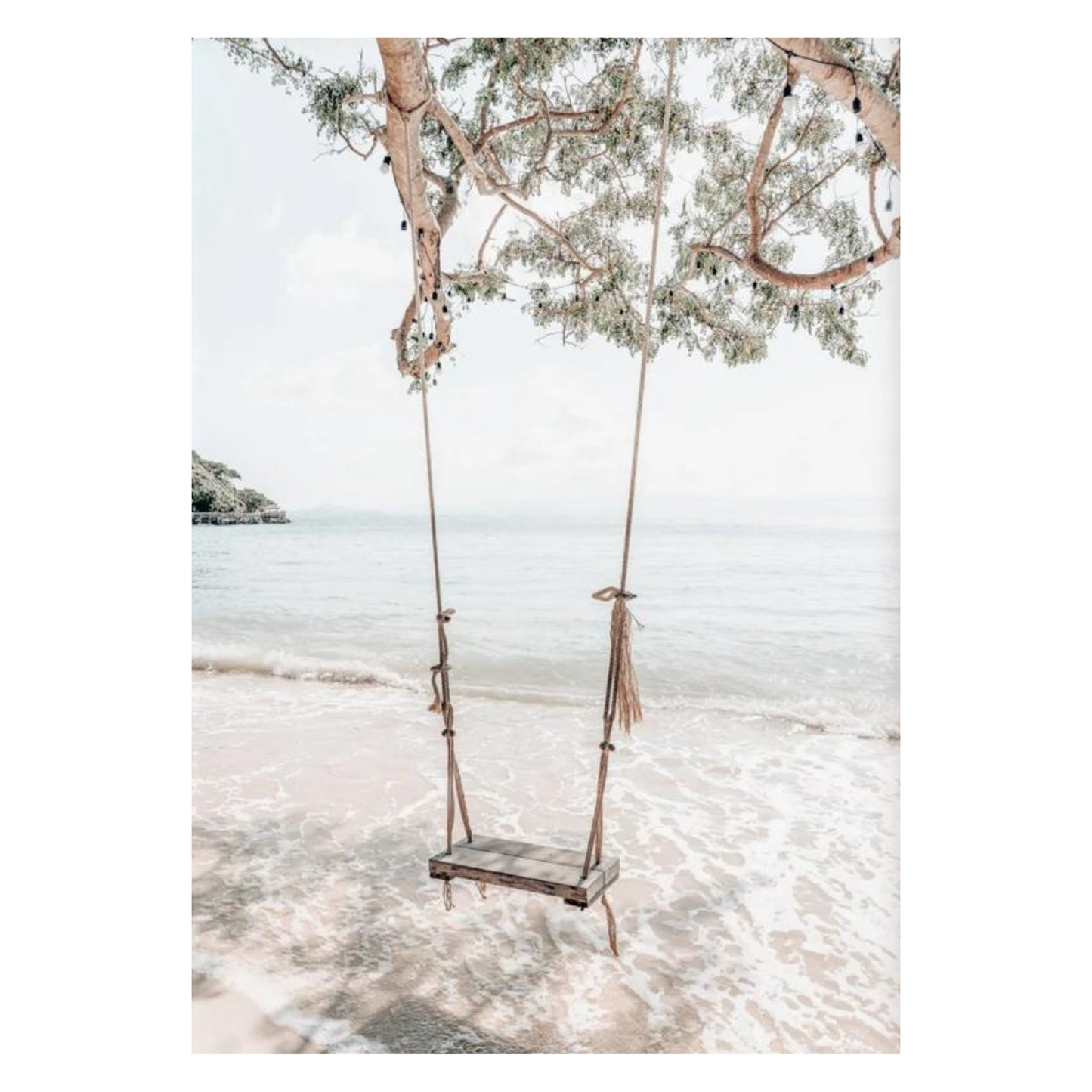 Tree Swing On Tropical Island Beach Photographic Print