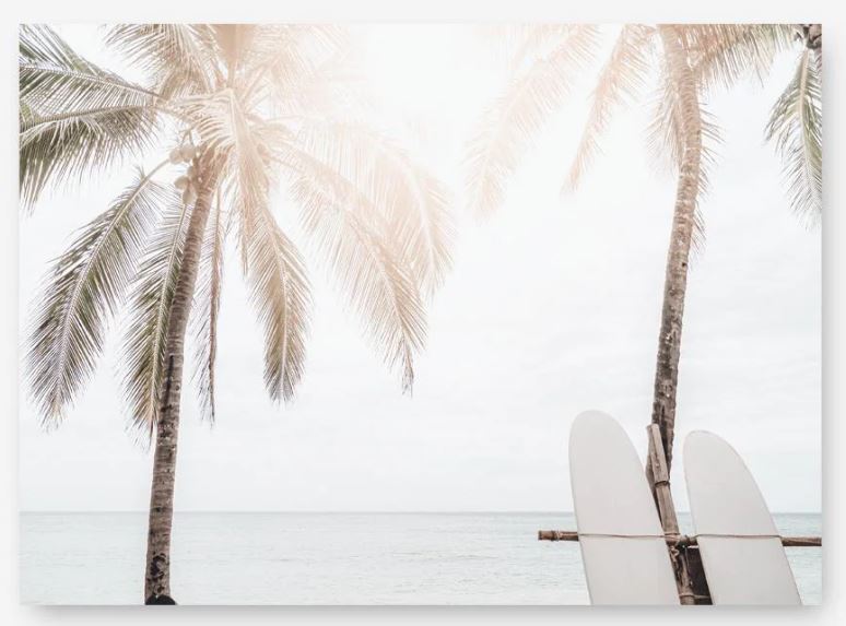 Two Surfboards Photo Canvas Print